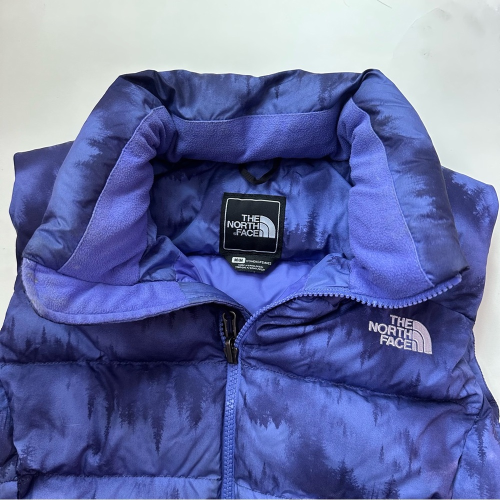 The North Face Blue Puffer Jacket with Quilted Design